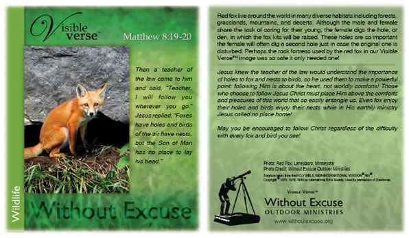 Then a teacher of the law came to him and said, Teacher, I will follow you wherever you go.  Jesus replied, Foxes have holes and birds of the air have nests, but the Son of Man has no place to lay his head.